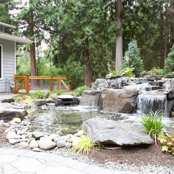 Woodinville Roof
