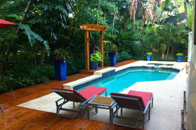 Design ideas for a backyard landscaping in Tampa.