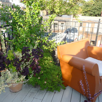 Back Bay, Rooftop/Kitchen Garden