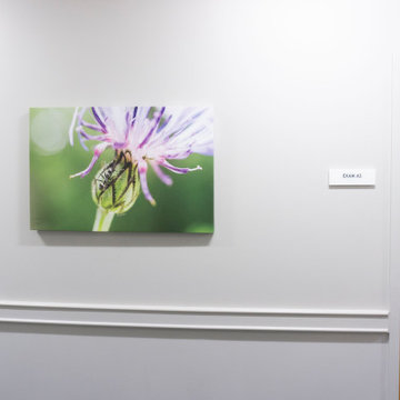 Commercial Art