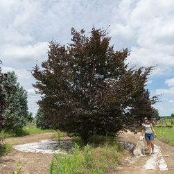 Farms - Gardening And Lawn Care