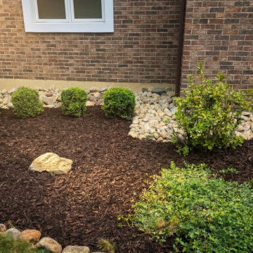 Foundation Planting Installation - Loudonville, NY