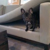 Michael Napoli's photo