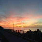 Maria Barreto's photo