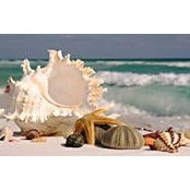 Jamie Peigler's photo