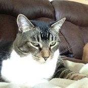 Pam Teel's photo