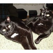 Kay Ames's photo