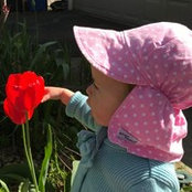 Kim Mapes's photo