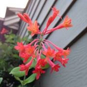 Heidi Bauer's photo