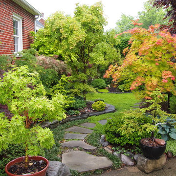 The Japanese Maple Garden