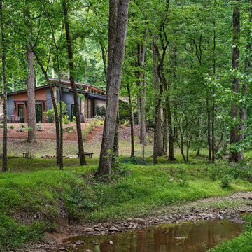 Modern Forest House