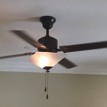 Fans