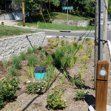 Storm Water Management Landscaing Projects