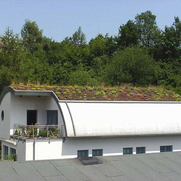 Dachbegrünung