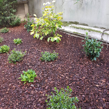 Jardin d'immeuble