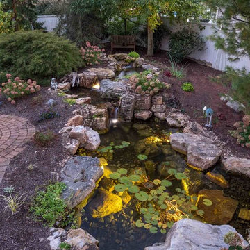 Old Pond Renovation with Beautiful New Koi Pond