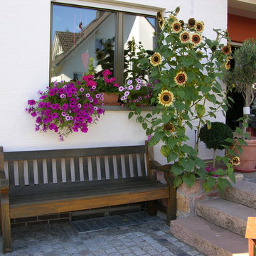 Ein Platz an der Sonne