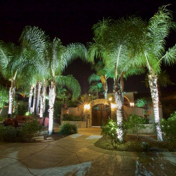 Sprawling Avacado and Palm Tree farm in Somis, California