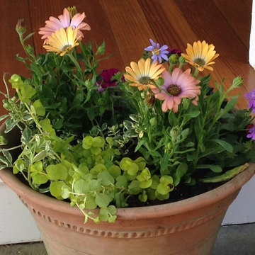 Containers