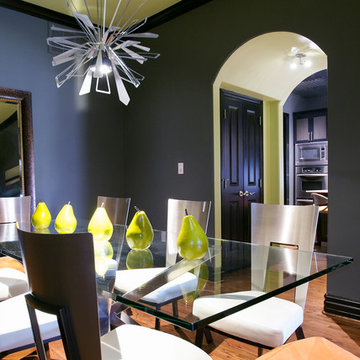Contemporary Condo Renovation