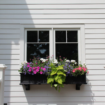 Kitchen Windows