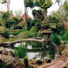 Seven Steps to Achieve the Perfect Zen Garden