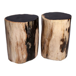 Petrified Wood Table - Side Tables And End Tables