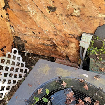 Termite Damage Is at it Again