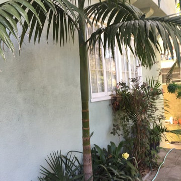 modern drought oasis