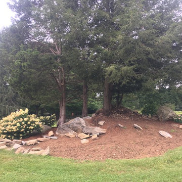 Backyard Transformations 2016