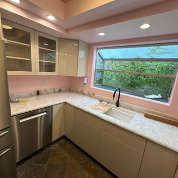 Petite Kitchen Renovation