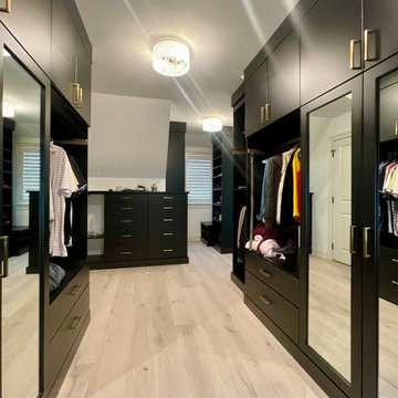 Getting the most Closet from an Attic - Black