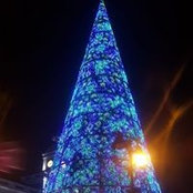Foto von Walid Moudjahed