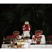 Antonio Torres's photo
