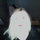 Bridget Driessen