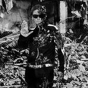 Thomas Mester's photo