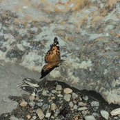Mmichelle Rios's photo