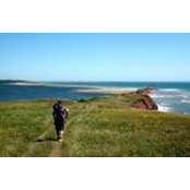Gabriel Danis's photo