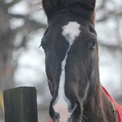 Lynn Coleman's photo