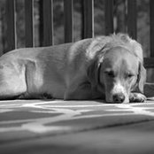 Tony Davis's photo