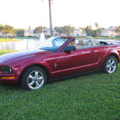 Paul Monroy's photo