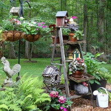 Yard Landscaping