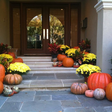 Fall Seasonal Pumpkin Display