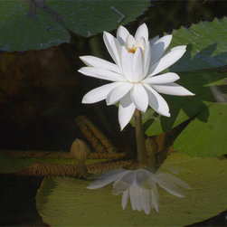 Bright White - Fine Art Prints