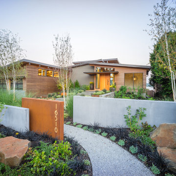 Lakeside Modern