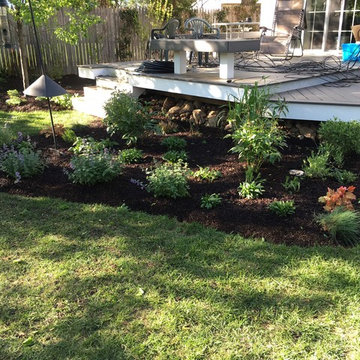 Small Shade Garden