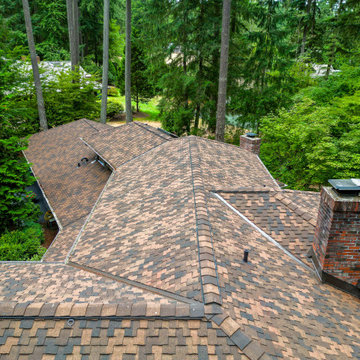 Elegant Composite Shingle Roof in Bellevue, Washington