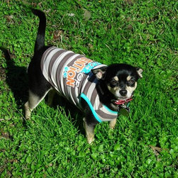 Pet care pics - Products