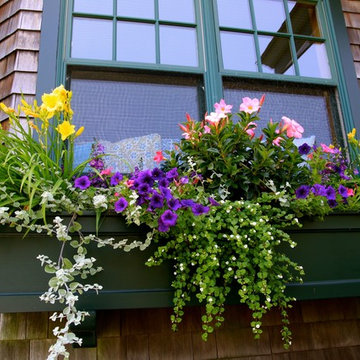 Flourishing Container Gardens!