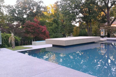Minimalist pool photo in Houston